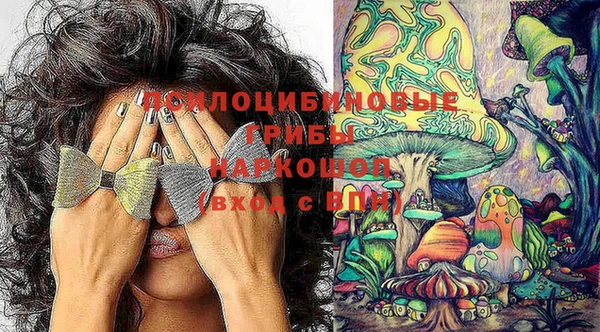 Альфа ПВП Алзамай