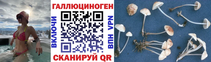 Галлюциногенные грибы прущие грибы купить сайты MEGA сайт Пролетарск